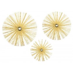 KIT VAN 5 BORSTELS DIAM...