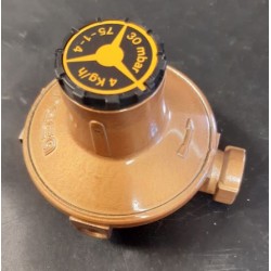 DETENDEUR 30-80 MBAR -TETINE